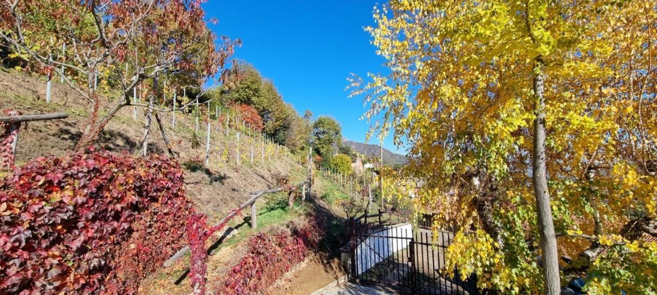 Chalet Sophie - Luxury Chalet Roletto Exterior foto